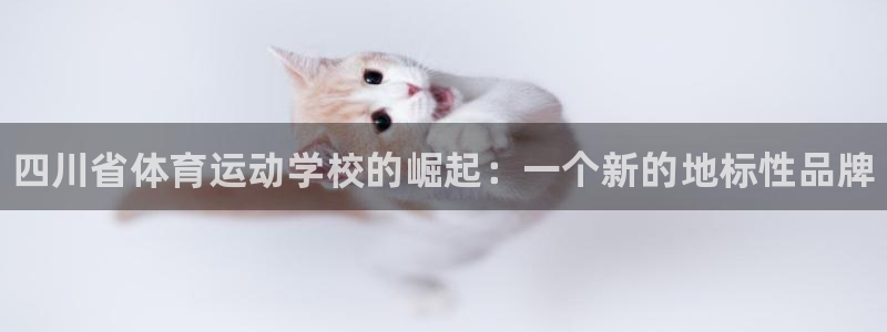 yy易游官方正版app集团：四川省体育运动学校的崛起