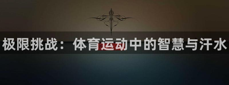 yy易游官网下载招商电话号码是多少：极限挑战：体育运