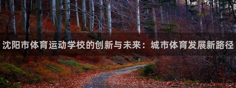 yy易游官方正版app娱乐首页网站大全：沈阳市体育运