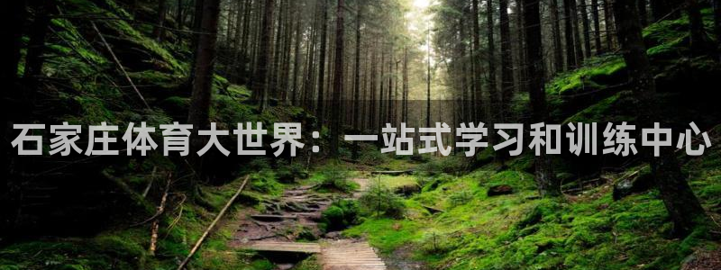 yy易游官网下载平台是正规平台吗知乎：石家庄体育大世