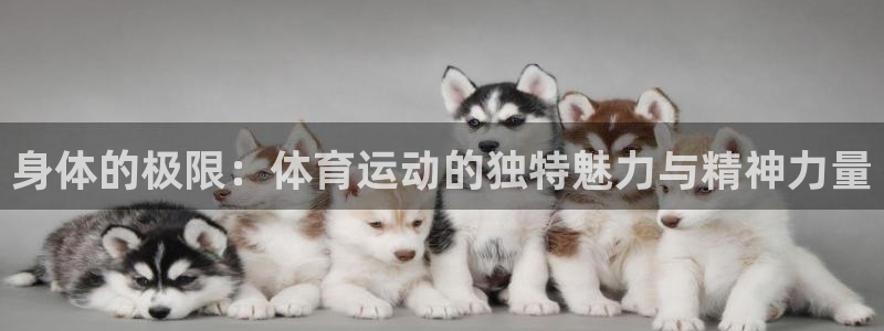 yy易游官网下载平台注册：身体的极限：体育运动的独特