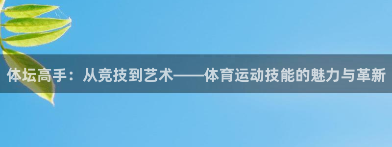 yy易游官方正版app娱乐网站：体坛高手：从竞技到艺