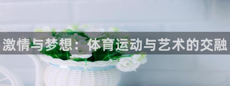 注册yy易游官方正版app：激情与梦想：体育运动与艺