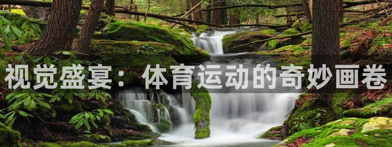 yy易游官方正版app娱乐平台：视觉盛宴：体育运动的