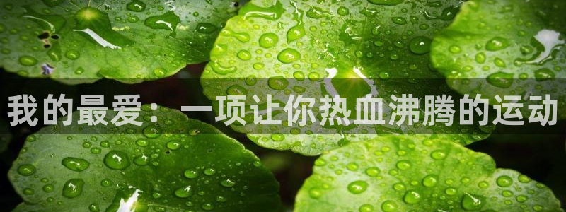 yy易游官网下载注册：我的最爱：一项让你热血沸腾的运
