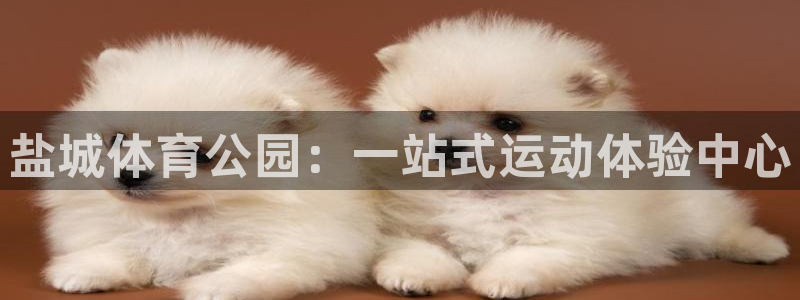 yy易游官方正版app科技：盐城体育公园：一站式运动