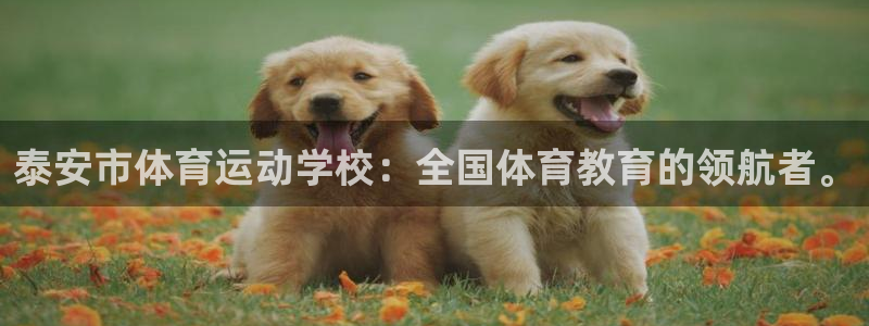 yy易游官方正版app娱乐是那个系列的台子：泰安市体