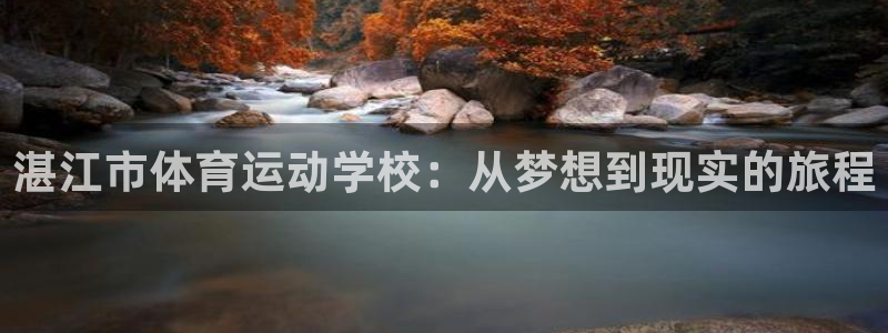 yy易游官方正版app娱乐首页网站大全：湛江市体育运