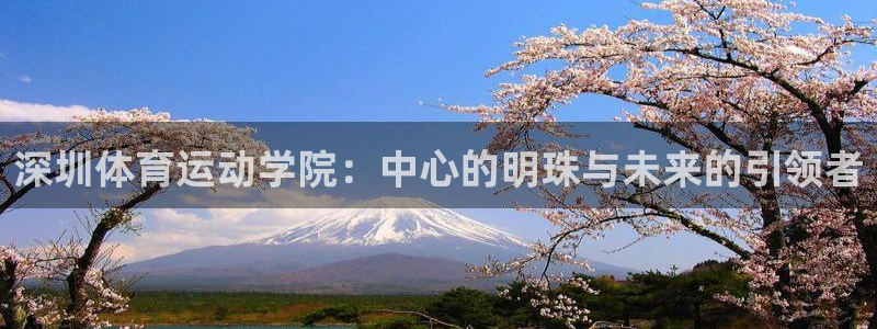 yy易游官网下载平台注册要钱吗安全吗：深圳体育运动学院：中心