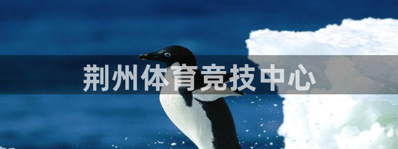 yy易游官方正版app神州：荆州体育竞技中心