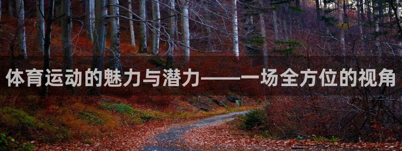 yy易游官方正版app集团E.ON：体育运动的魅力与