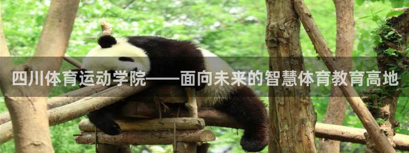 yy易游官网下载平台是正规平台吗知乎