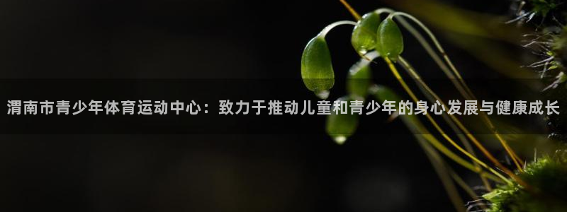 yy易游官方正版app娱乐网站：渭南市青少年体育运动