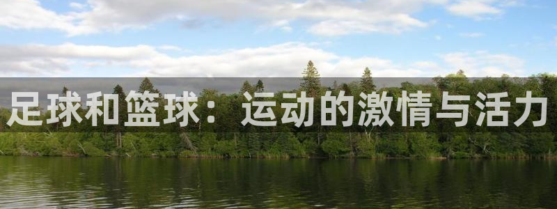 yy易游官方平台体育：足球和篮球：运动的激情与活力