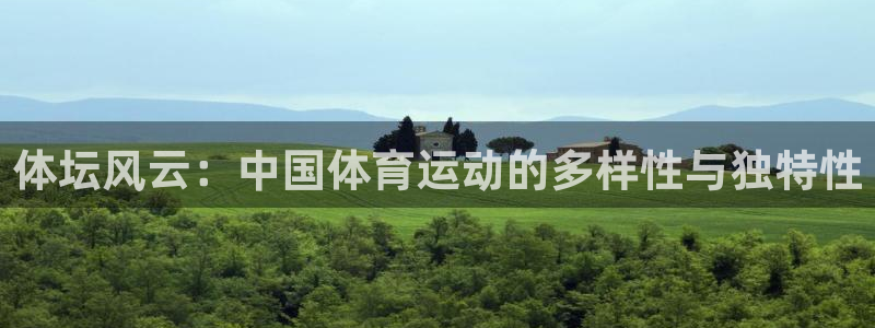 yy易游官方正版app集团