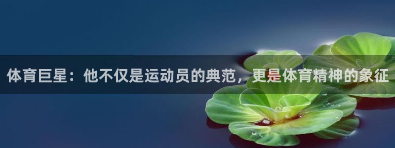 yy易游官方正版app娱乐平台：体育巨星：他不仅是运动员的典